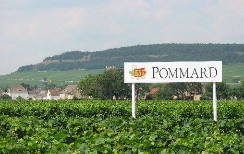 Location de vacances - Appartement à Pommard