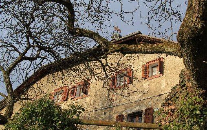 Location de vacances - Maison - Villa à Marignier