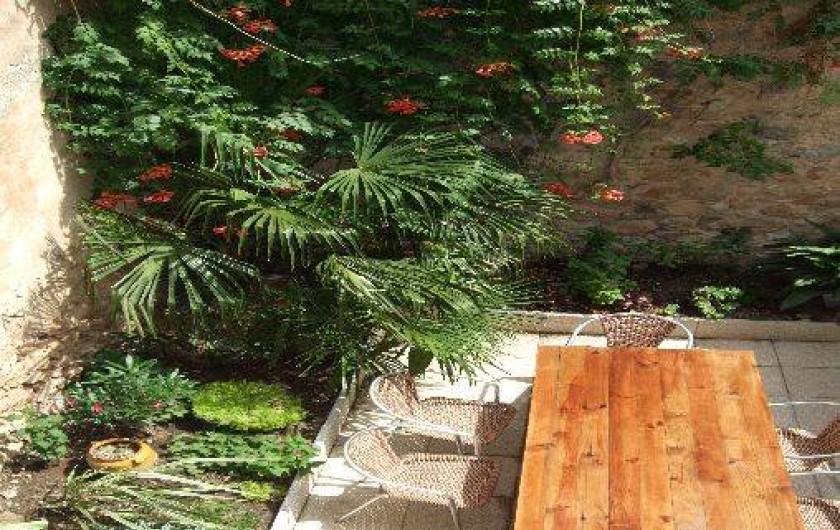 Location de vacances - Maison - Villa à Saint-Chinian