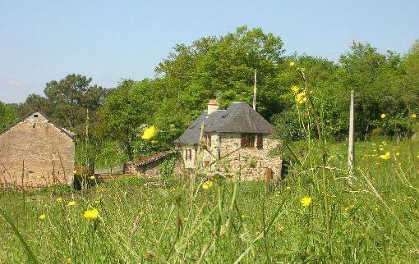 Location de vacances - Gîte à Terrasson-Lavilledieu