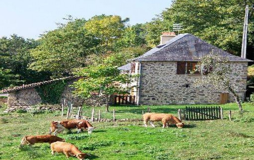 Location de vacances - Gîte à Terrasson-Lavilledieu