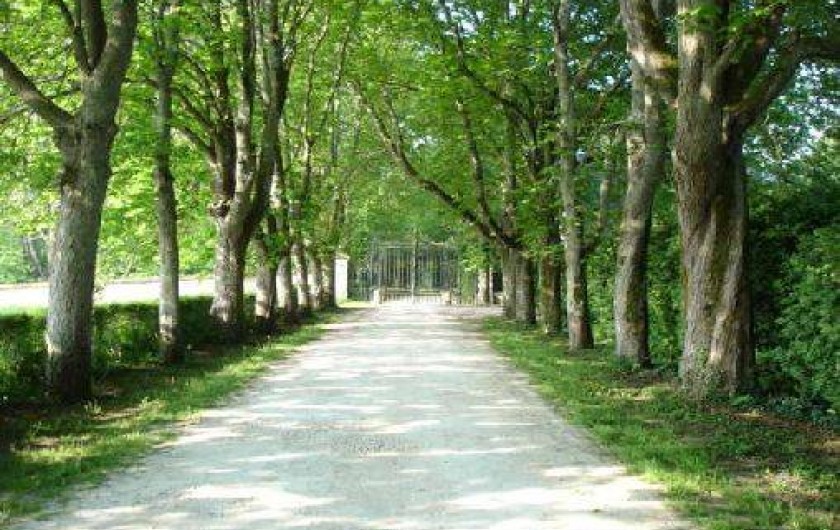 Location de vacances - Gîte à Mer