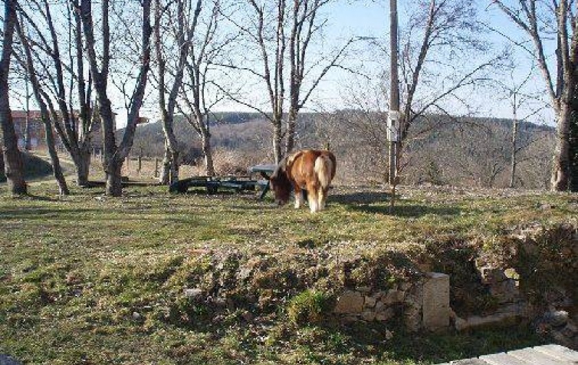Location de vacances - Villa à Busset