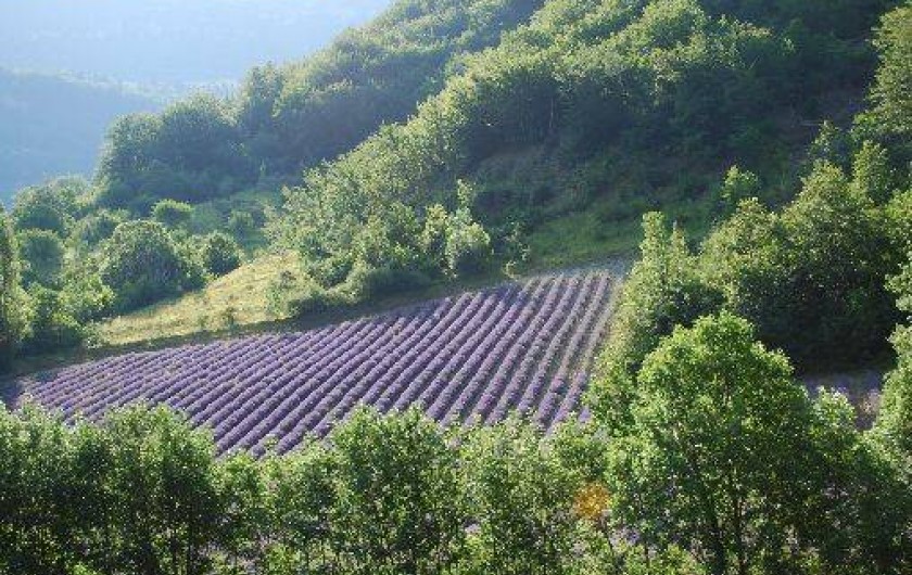 Location de vacances - Maison - Villa à Chaudebonne
