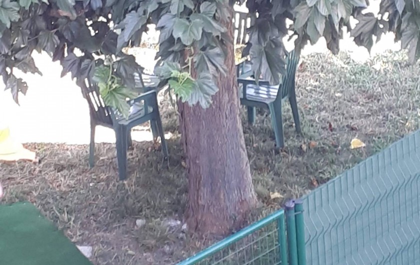 Location de vacances - Chambre d'hôtes à Pézilla-la-Rivière