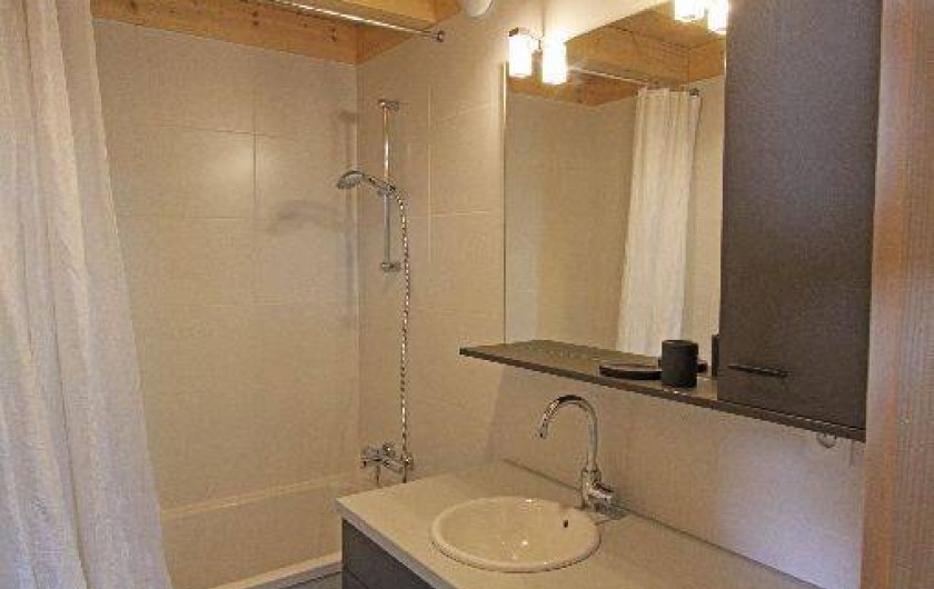 Location de vacances - Gîte à Annecy - Salle de bains
