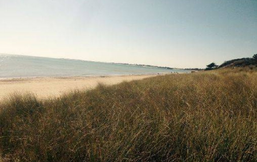 Location de vacances - Maison - Villa à La Couarde-sur-Mer
