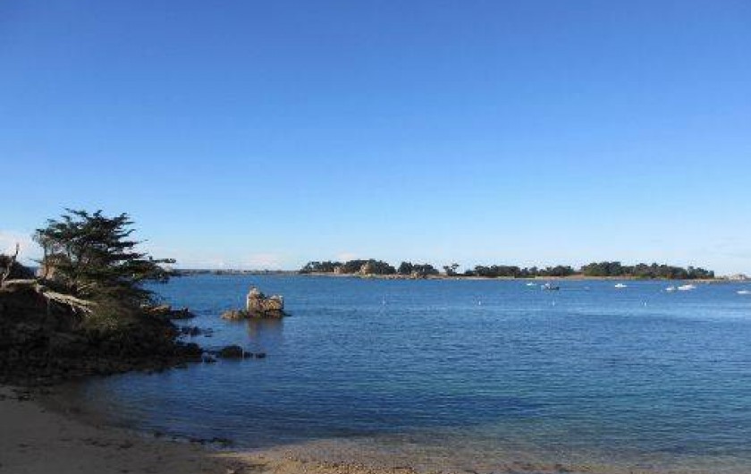 Location de vacances - Gîte à Penvénan