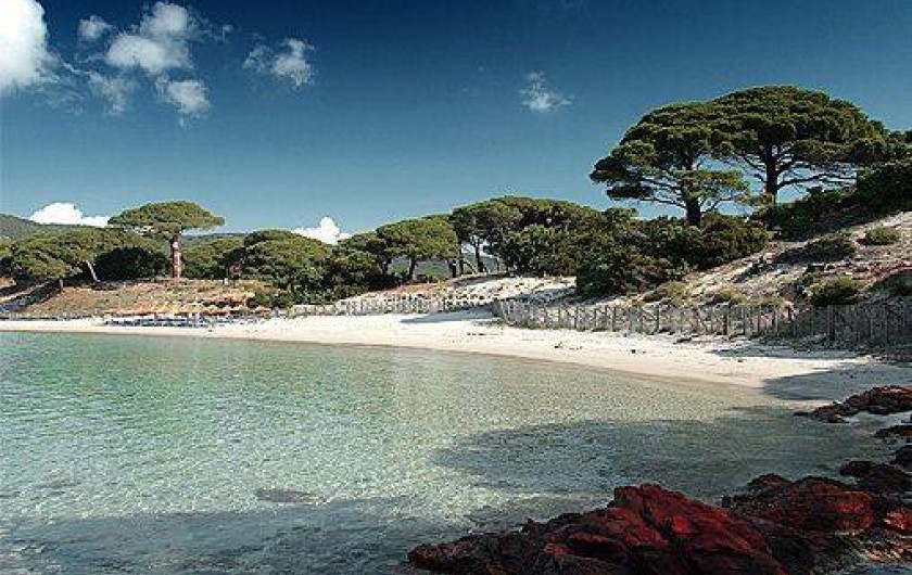 Location de vacances - Villa à Porto-Vecchio