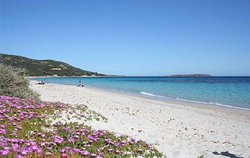 Location de vacances - Villa à Porto-Vecchio