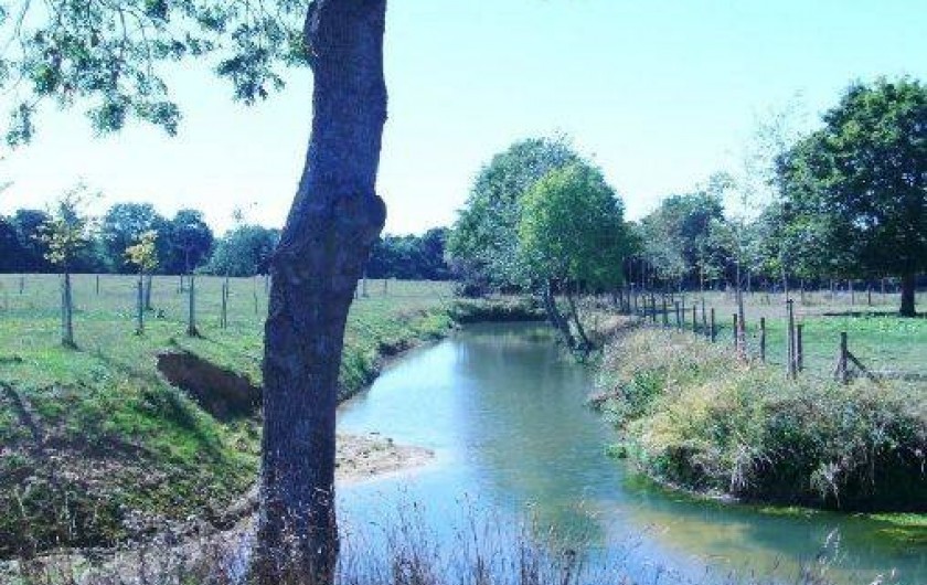 Location de vacances - Gîte à Mandeville-en-Bessin