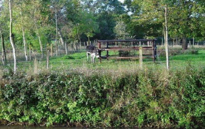 Location de vacances - Gîte à Mandeville-en-Bessin