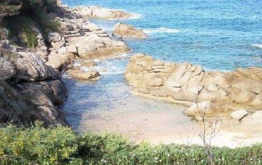 Location de vacances - Maison - Villa à Pietrosella