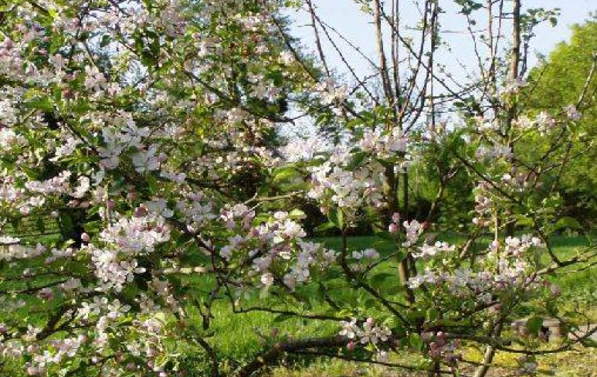 Location de vacances - Gîte à Audrehem