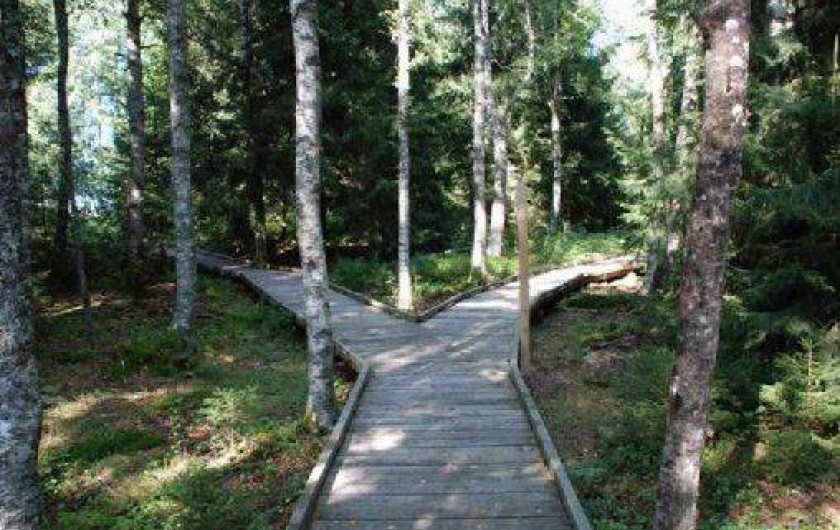 Location de vacances - Appartement à Frasne