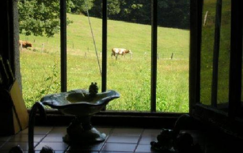 Location de vacances - Maison - Villa à Saint-Pierre