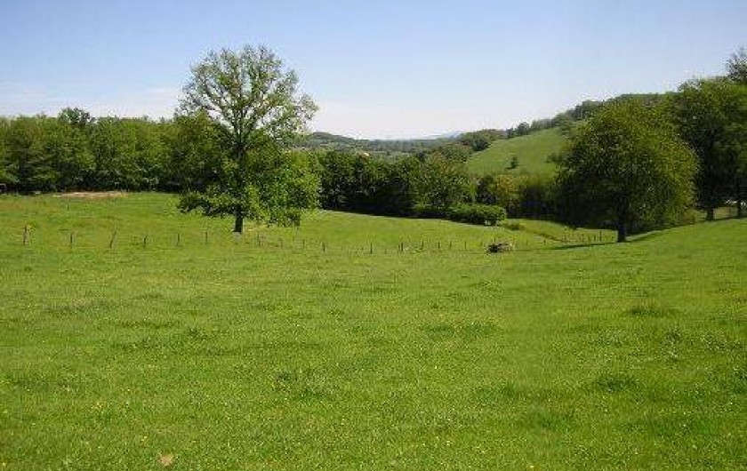 Location de vacances - Maison - Villa à Saint-Pierre