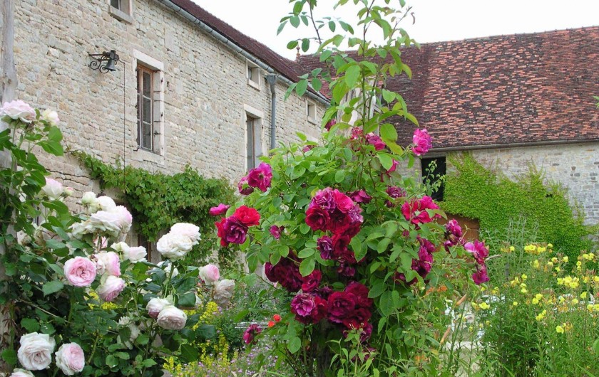 Location de vacances - Chambre d'hôtes à Gigny - Vue sur cour