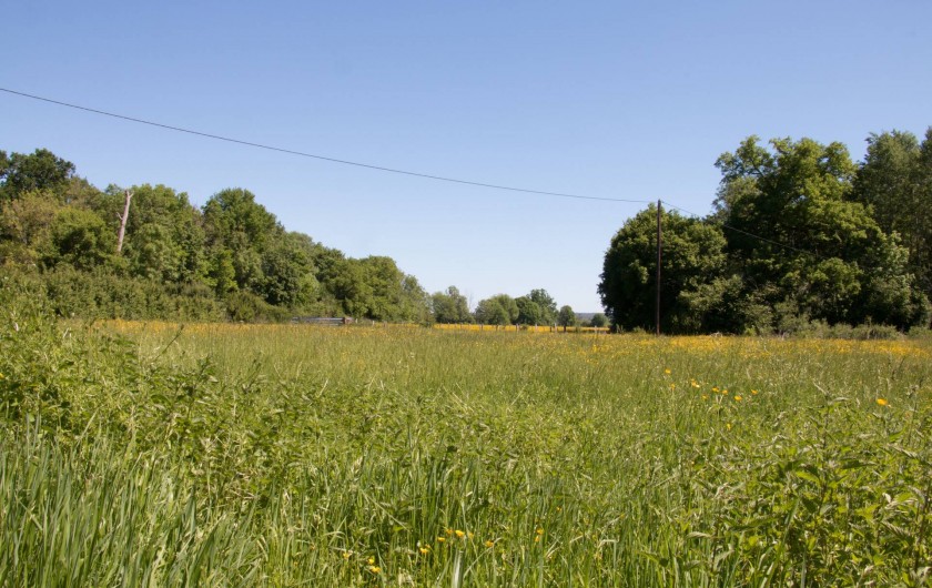 Location de vacances - Chambre d'hôtes à Gigny - Vue sur la campagne