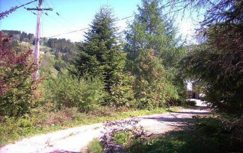 Location de vacances - Appartement à Gérardmer