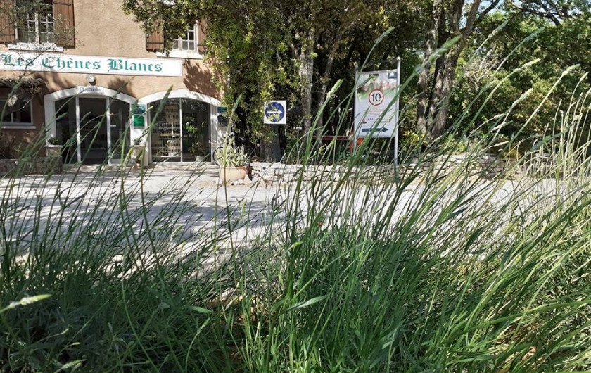 Location de vacances - Camping à Saint-Saturnin-lès-Apt