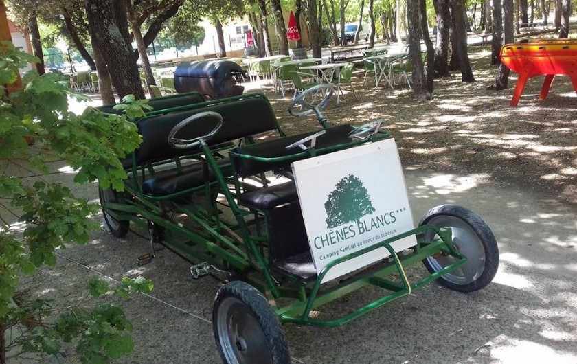 Location de vacances - Camping à Saint-Saturnin-lès-Apt