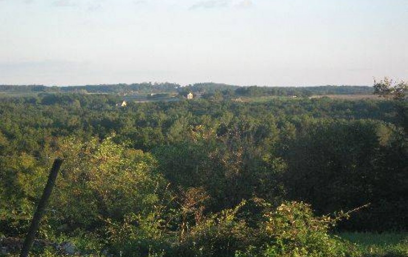 Location de vacances - Gîte à Monbazillac
