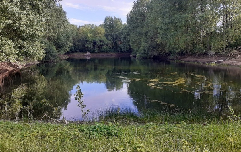 Location de vacances - Bungalow - Mobilhome à Camiers - Lac