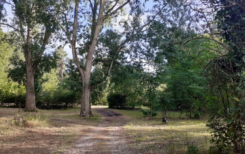 Location de vacances - Bungalow - Mobilhome à Camiers - Ballade dans le camping