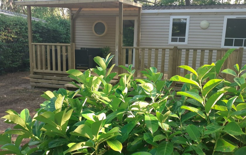 Location de vacances - Bungalow - Mobilhome à Camiers