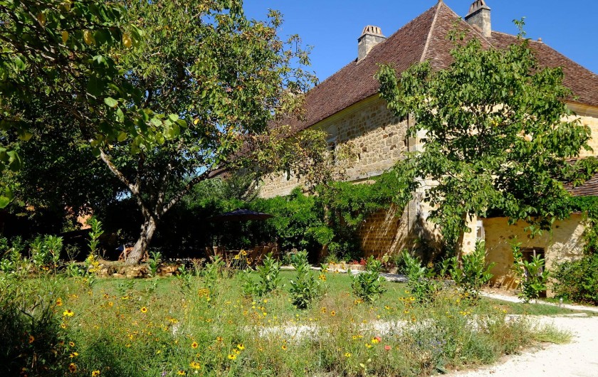 Location de vacances - Gîte à Cénac-et-Saint-Julien - Jardin