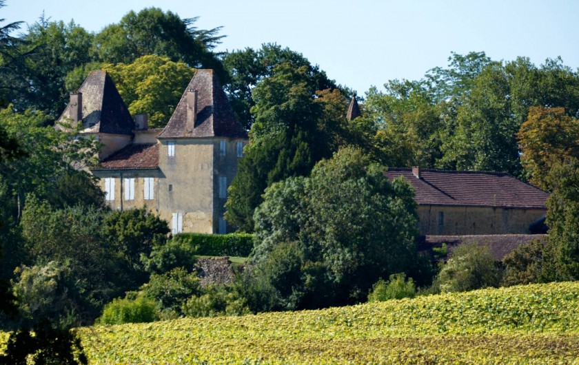 Location de vacances - Gîte à Dému - Château de d'Artagnan, Lupiac