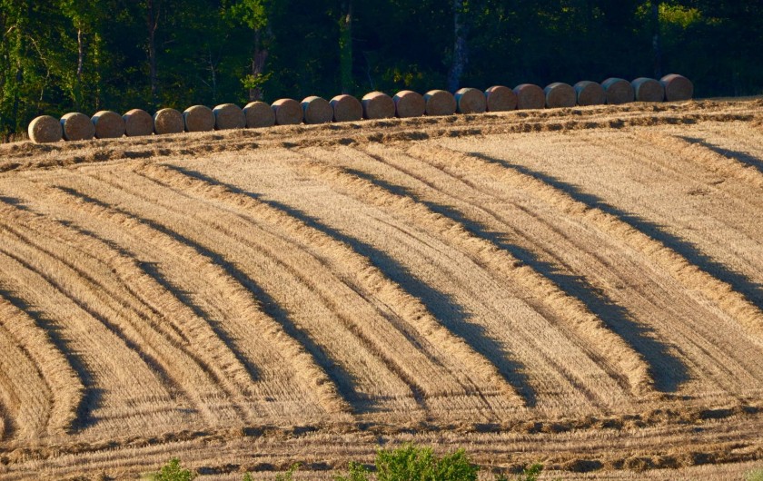 Location de vacances - Gîte à Dému - Alentours
