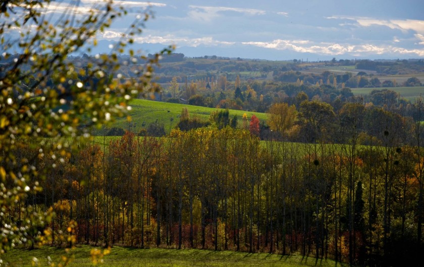 Location de vacances - Gîte à Dému - Alentours