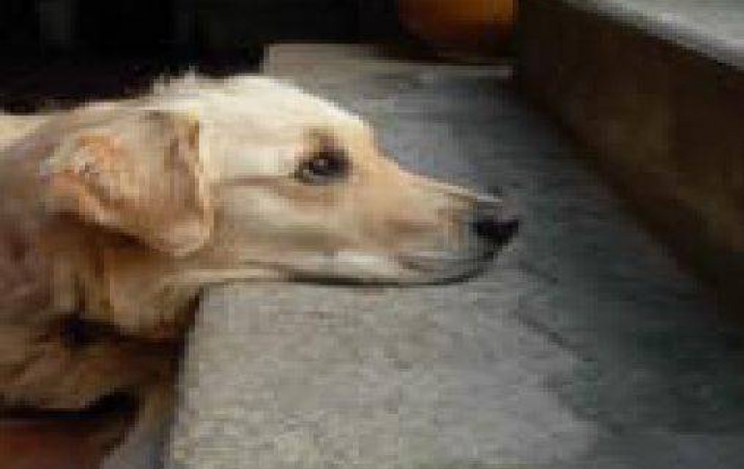 Location de vacances - Chambre d'hôtes à Chomérac