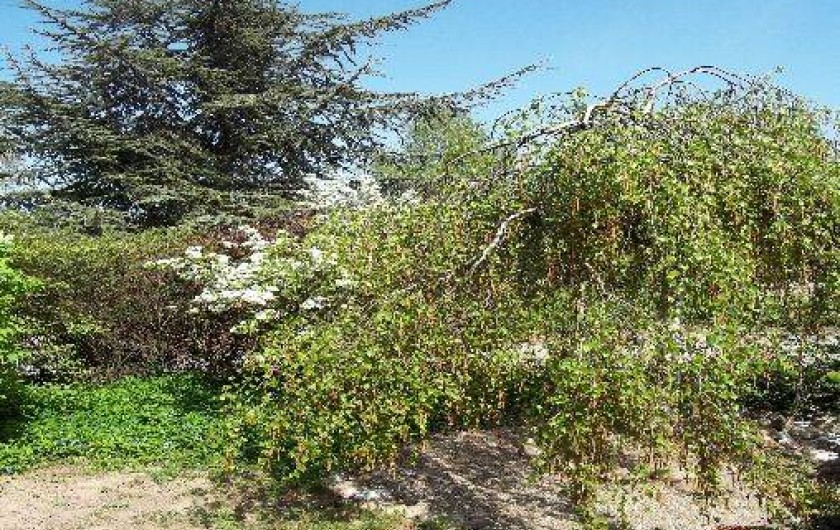 Location de vacances - Villa à Wolxheim