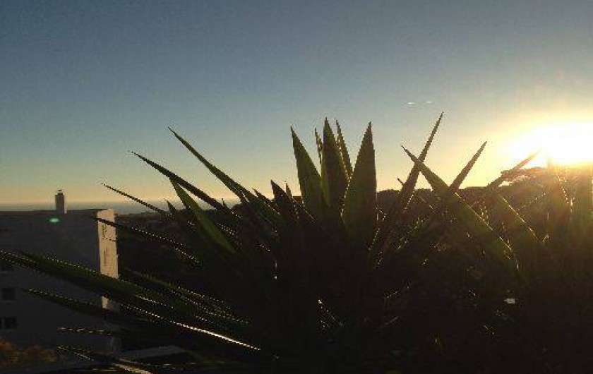 Location de vacances - Appartement à Bandol