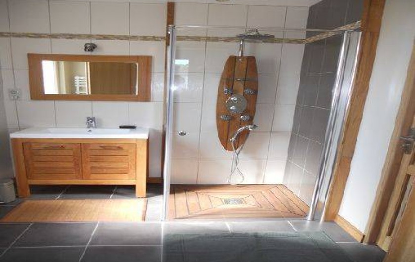 Location de vacances - Gîte à Avoine - Salle d'eau RdC