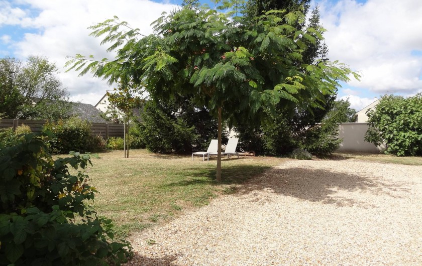 Location de vacances - Gîte à Avoine - Cour et Jardin