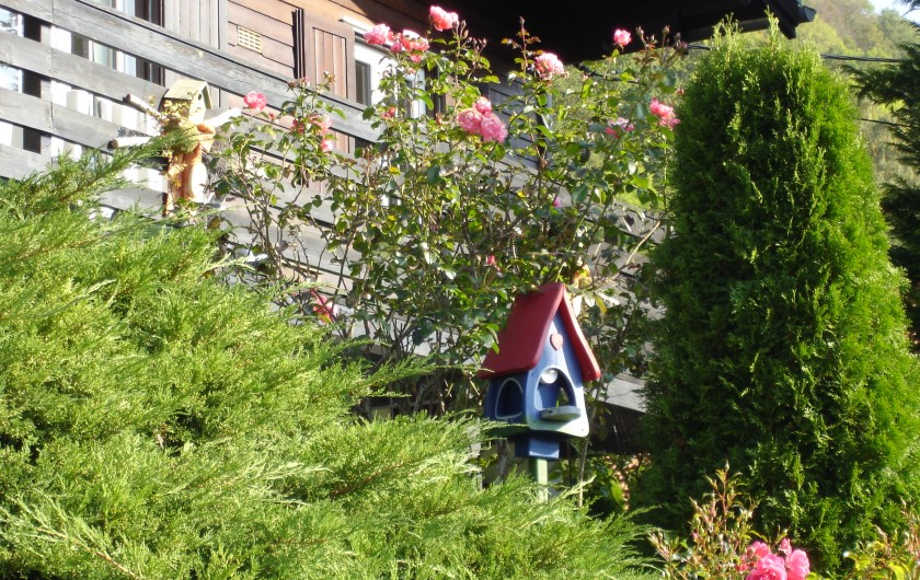 Location de vacances - Chalet à Metzeral