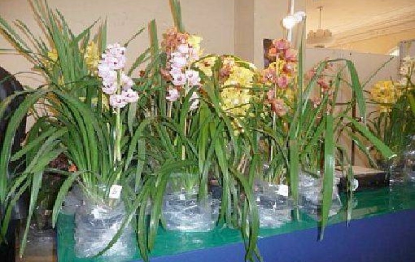 Location de vacances - Studio à Menton