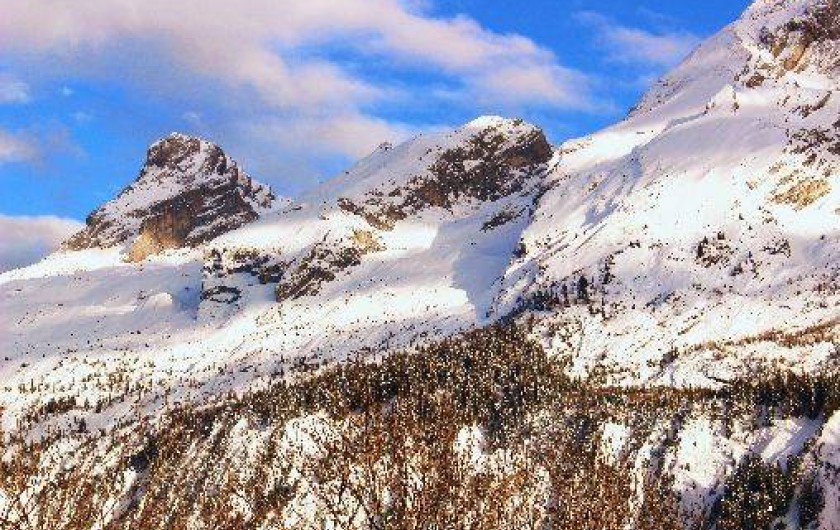 Location de vacances - Chalet à Le Grand-Bornand