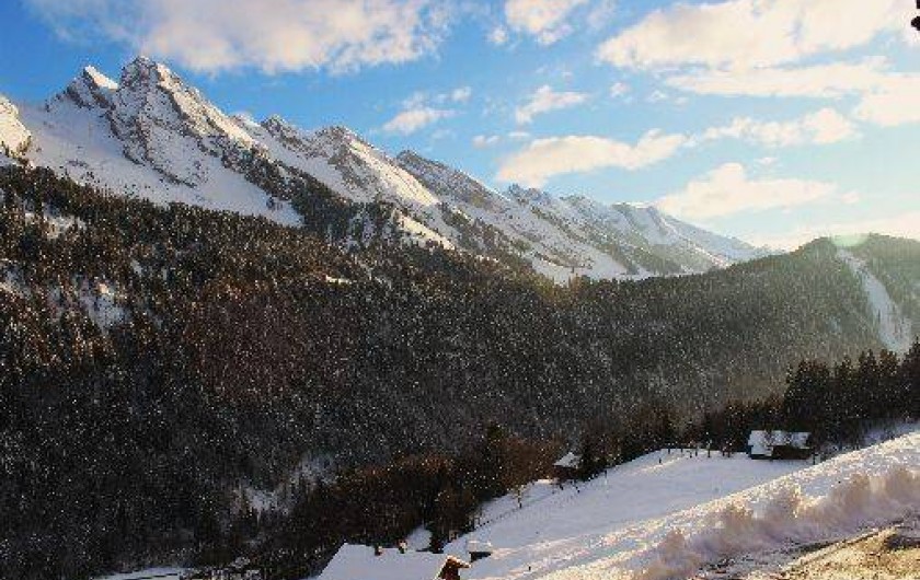 Location de vacances - Chalet à Le Grand-Bornand