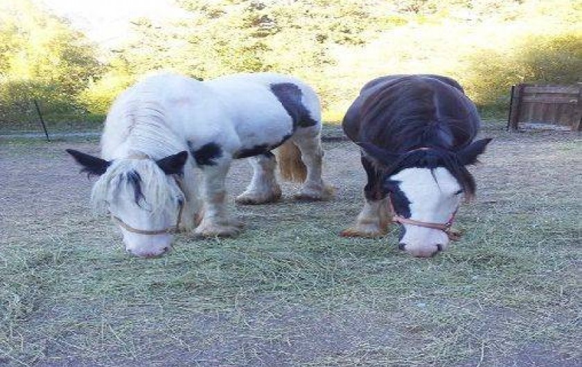Location de vacances - Gîte à Seyne