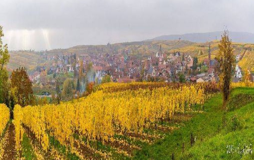 Location de vacances - Gîte à Balbronn
