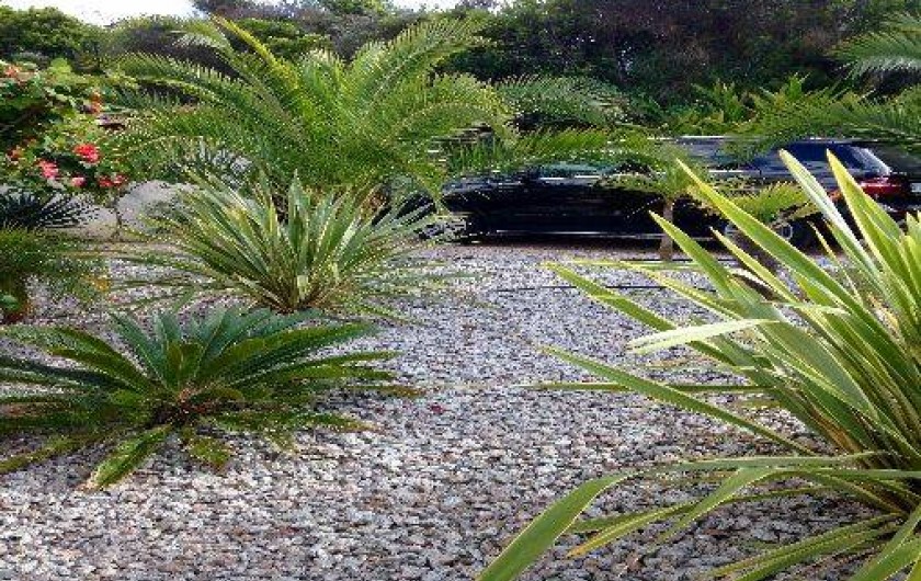 Location de vacances - Villa à Pietrosella - jardin