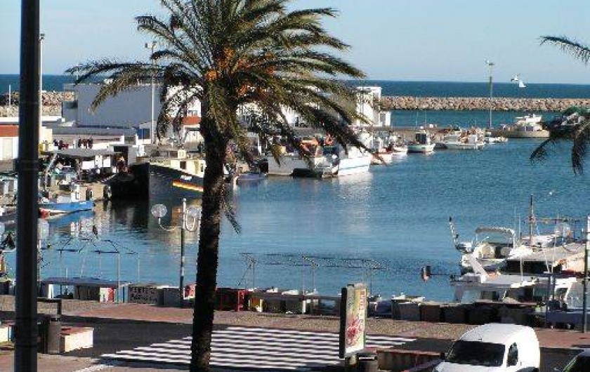Location de vacances - Studio à Saint-Cyprien