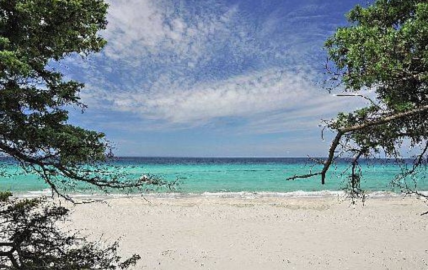 Location de vacances - Maison - Villa à Calcatoggio