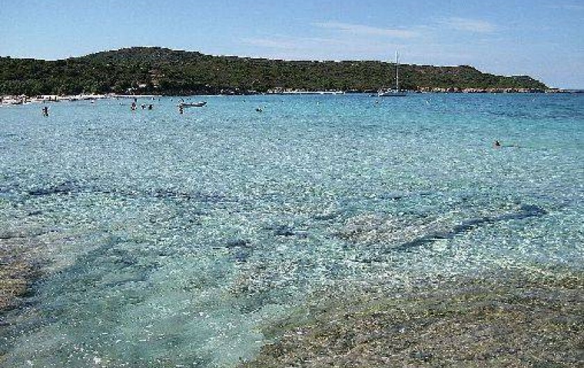 Location de vacances - Maison - Villa à Calcatoggio