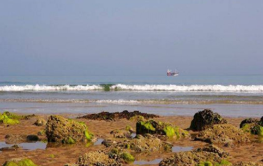Location de vacances - Gîte à Saint-Alban